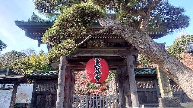 飯上山 如意輪院 長谷寺(飯山観音）の参拝記録3