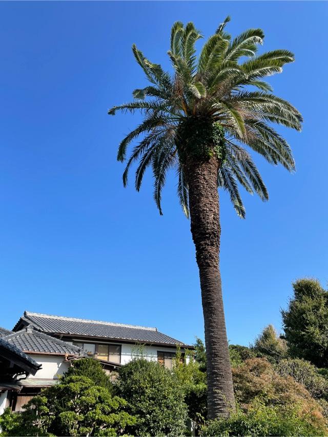 本瑞寺の参拝記録9