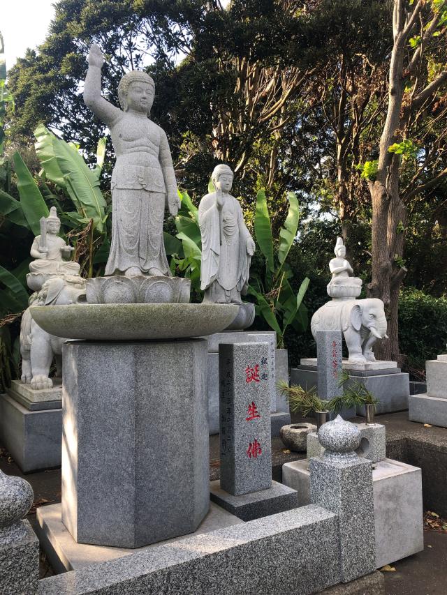 神奈川県三浦市初声町下宮田119 飯森山　明王院　妙音寺の写真10