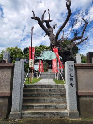 龍徳山 光照寺の参拝記録(たけちゃん⚾さん)