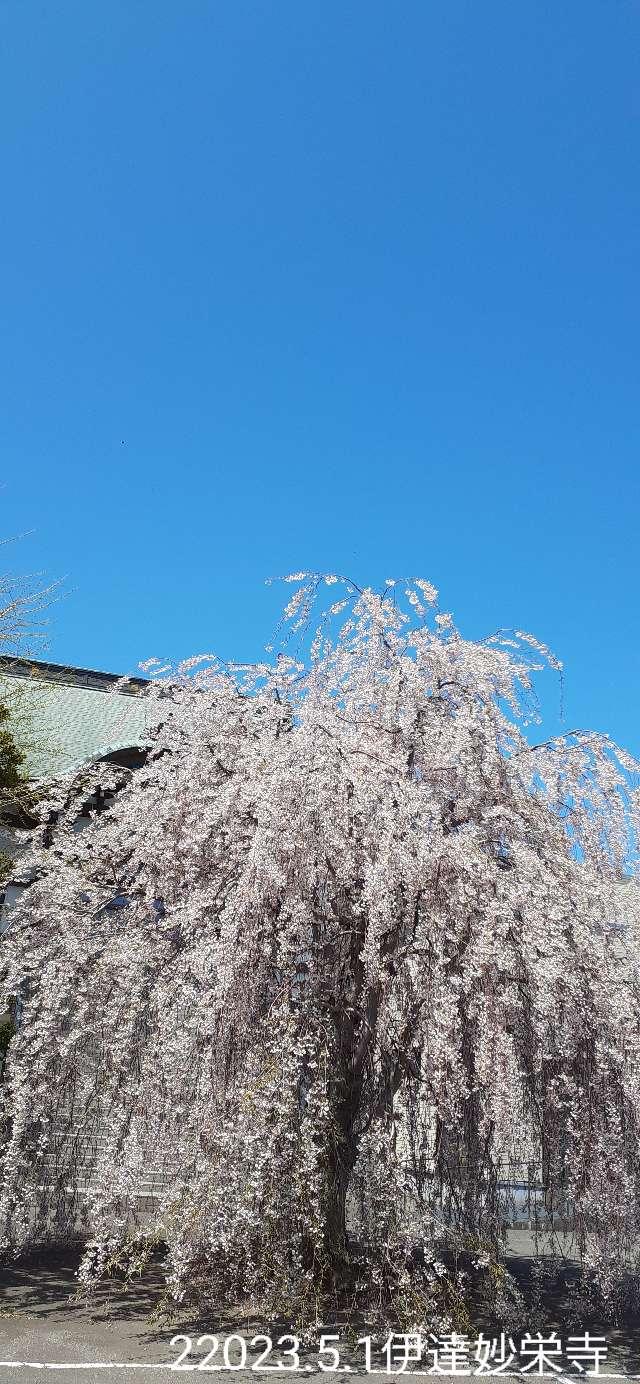 妙栄寺の参拝記録3