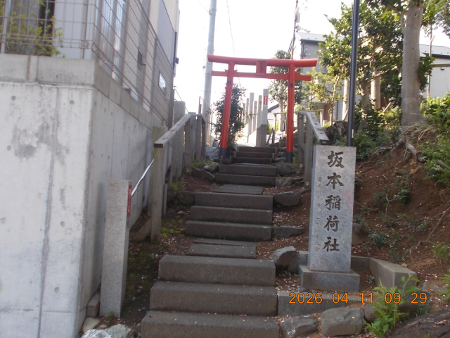 坂本稲荷社（恋ヶ窪坂本稲荷神社）の参拝記録4