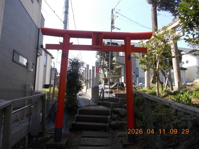 坂本稲荷社（恋ヶ窪坂本稲荷神社）の参拝記録(ムンクさん)