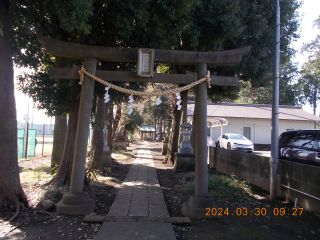 阿波洲神社の参拝記録(ムンクさん)