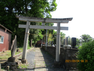 諏訪神社の参拝記録(ムンクさん)