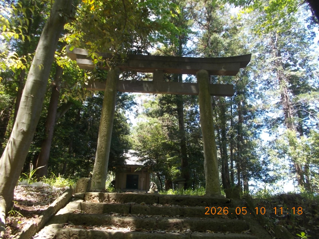 雷神社の参拝記録(ムンクさん)