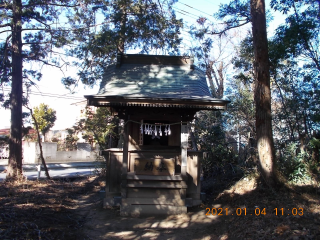 厳島神社（宮内氷川神社境内）の参拝記録(ムンクさん)