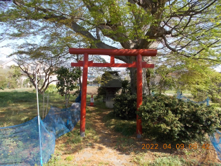 稲荷神社の参拝記録6