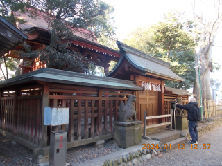 東照宮(大國魂神社境内社)の参拝記録10