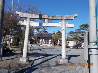 氷川神社の参拝記録(ムンクさん)