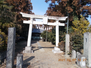 氷川神社の参拝記録2