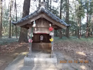 三峯神社(高虫氷川神社境内社)の参拝記録(ムンクさん)