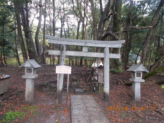 杵那築神社(杵那築森)の参拝記録2