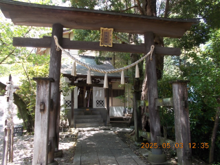蔵殿神社(所澤神明社)の参拝記録1