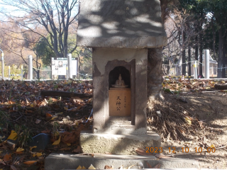 天神様（東水元熊野神社境内）の参拝記録(ムンクさん)