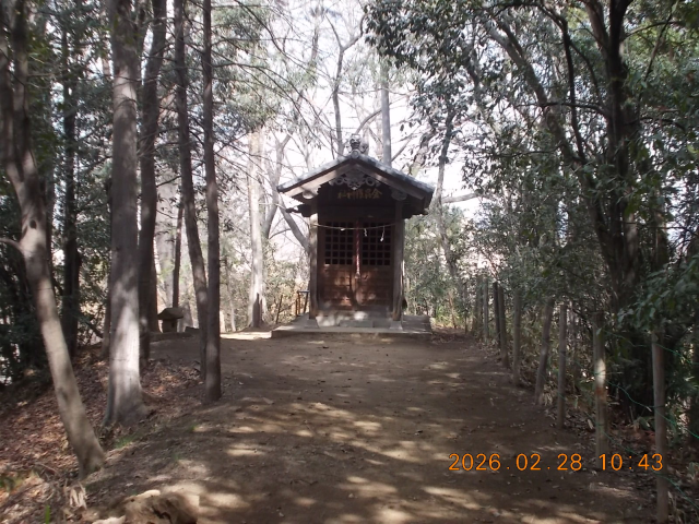 金毘羅神社の参拝記録(ムンクさん)