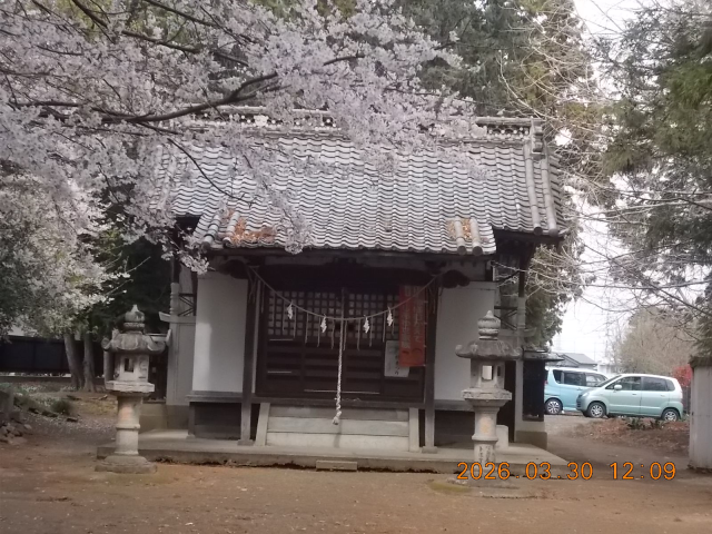 飯玉神社の参拝記録(ムンクさん)