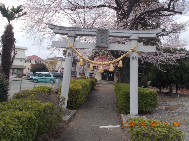 井野神社の参拝記録1