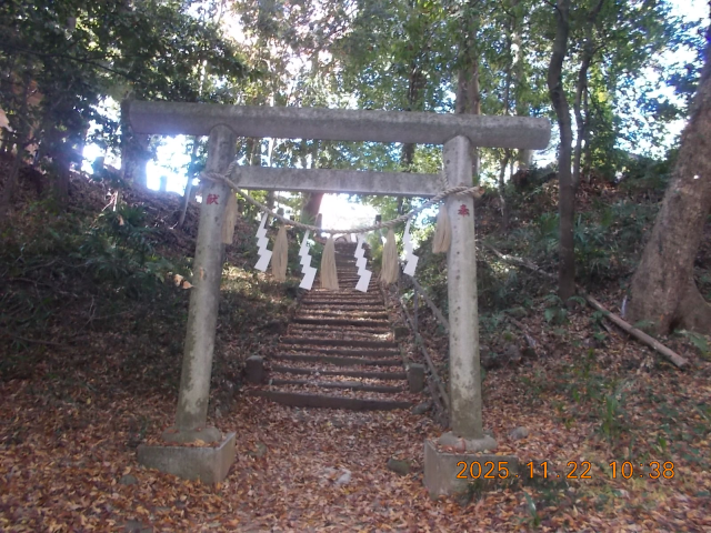 諏訪八幡神社の参拝記録1