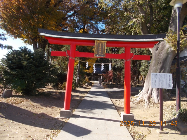 大寄諏訪神社の参拝記録(ムンクさん)
