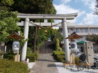 中氷川神社の参拝記録(ムンクさん)