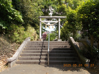 中氷川神社の参拝記録(ムンクさん)
