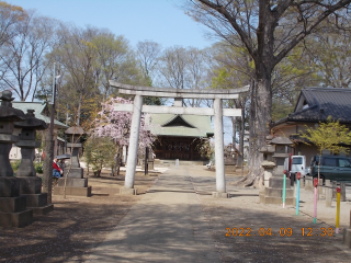 氷川神社の参拝記録(ムンクさん)