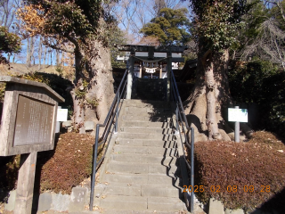 氷川神社の参拝記録2