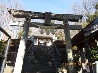 氷川神社の参拝記録(ムンクさん)