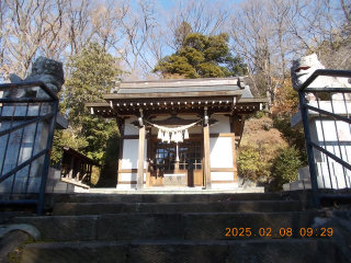 氷川神社の参拝記録(ムンクさん)
