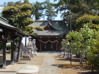 三ヶ島八幡神社の参拝記録(ムンクさん)
