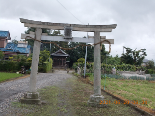 八幡神社（加須市下崎）の参拝記録(ムンクさん)