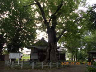 城山稲荷神社の参拝記録1