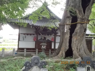 城山稲荷神社の参拝記録(ムンクさん)