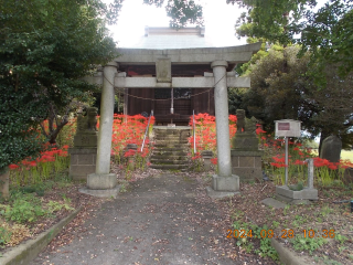 鷲神社の参拝記録1