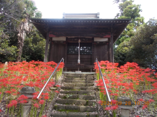 鷲神社の参拝記録(ムンクさん)