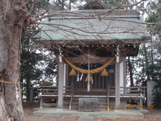 白鬚神社の参拝記録(ムンクさん)