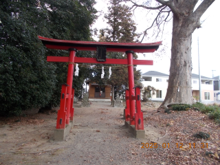 初玉稲荷神社の参拝記録1