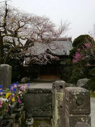 妙経寺の参拝記録(こばちゃんさん)