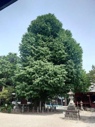 飯泉山 勝福寺（飯泉観音）の参拝記録(おざりんさん)