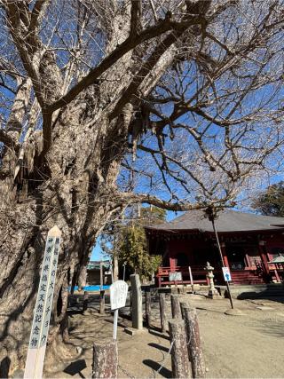 飯泉山 勝福寺（飯泉観音）の参拝記録(ほーリンさん)