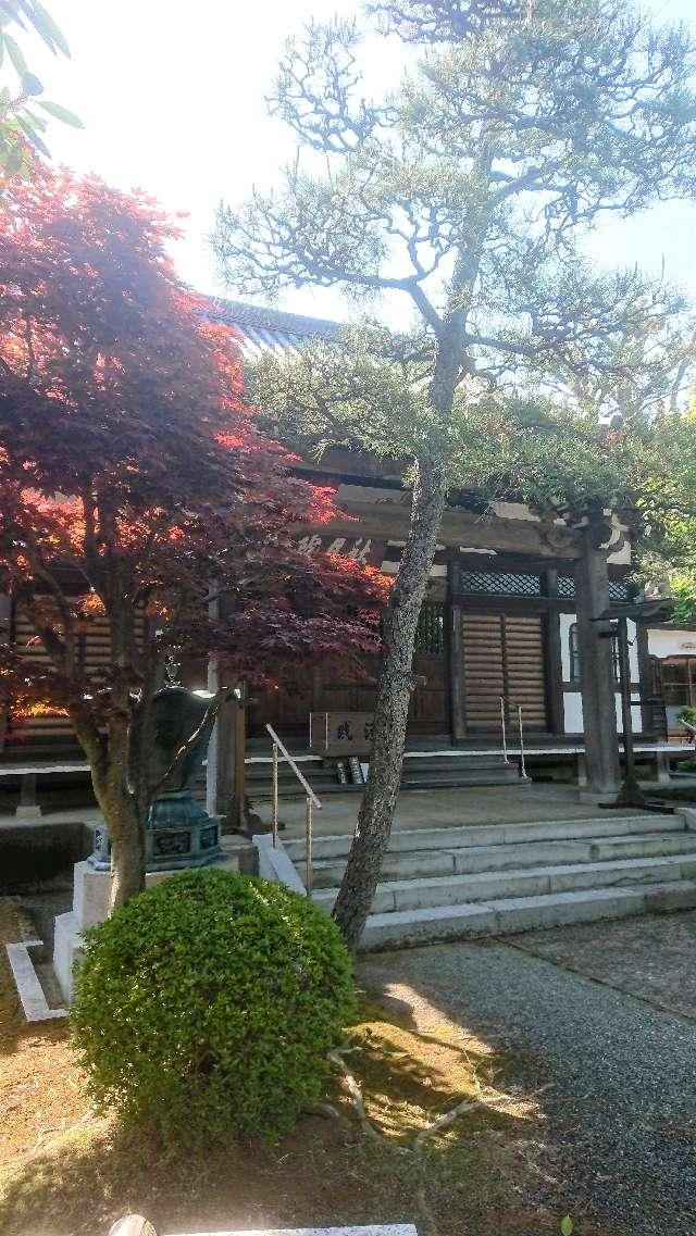 秋月院（しゅうげついん）の参拝記録1