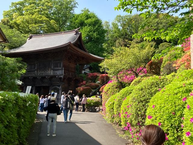 神木山 等覚院 長徳寺の参拝記録(けんだまさん)