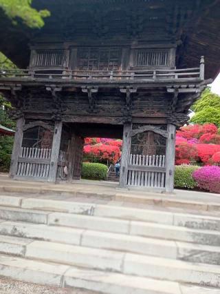 神木山 等覚院 長徳寺の参拝記録(トカさんさん)