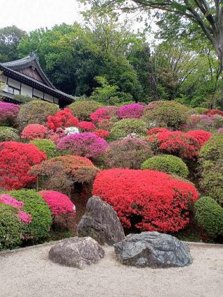 神木山 等覚院 長徳寺の参拝記録(トカさんさん)