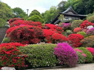 神木山 等覚院 長徳寺の参拝記録(ロカさん)