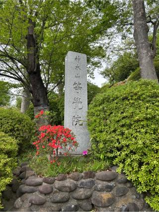 神木山 等覚院 長徳寺の参拝記録(ロカさん)