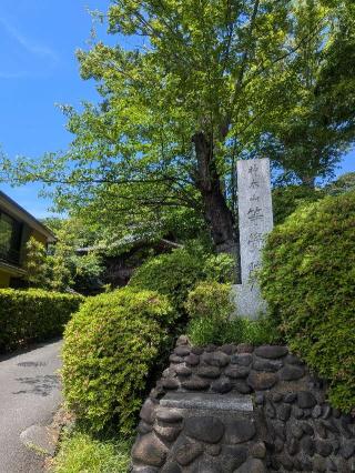 神木山 等覚院 長徳寺の参拝記録(はくすみさん)