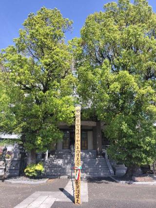 大乗院の参拝記録(さとみさん)