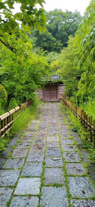 星宿山 王禅寺の参拝記録(ぺすさん)
